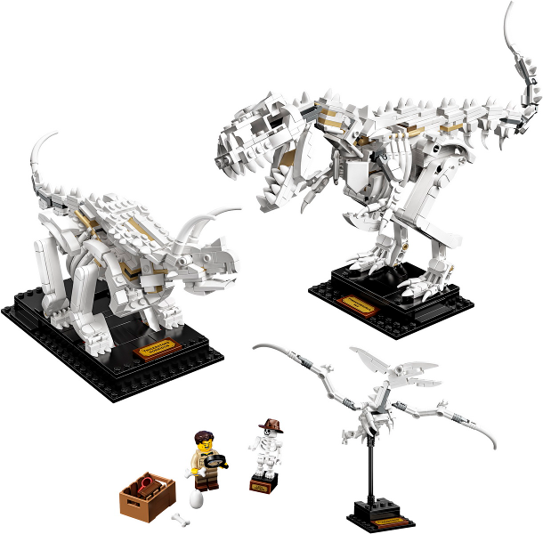 LEGO® Ideas 21320 Dinosaurier-Fossilien